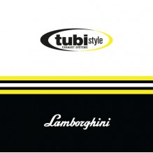 LP670 CATALYTIC CONVERTER REMOVAL  KIT w VALVE