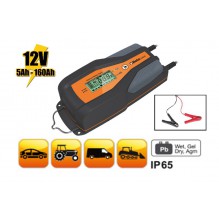 Beta 1498/8A-BATTERY CHARGER 12V