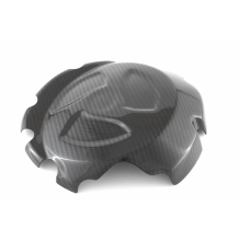 Fullsix | CLUTCH COVER PROTECTION GUARD BMW S 1000 R/RR/XR