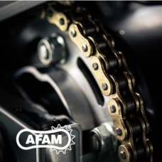 AFAM Chain A520XHR2-V 120L MRS GREEN